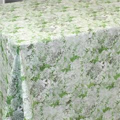 TOILE CIREE TEXT