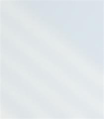 MINI RLX ADH 0.45X2M UNI TRANSPARENT GLOSSY