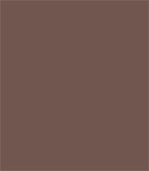 MINI RLX ADH 0.45X2M TAUPE MAT
