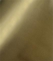 RLX ADH LUMIFIX 0.45X1.5M DUOTONE GOLD X6